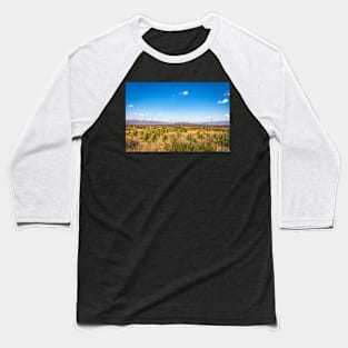 Sotol in the Chihuahuan Desert Baseball T-Shirt